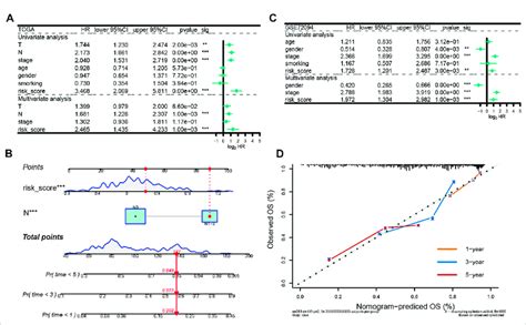 Independent Prognostic Analysis Of The Prognostic Model A