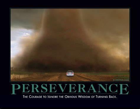 Perseverance Demotivational Posters Perseverance Demotivational Quotes