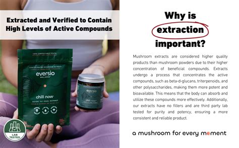 Eversio Wellness Chill Now Organic Reishi Mushroom Supplement 151 Reishi Dual