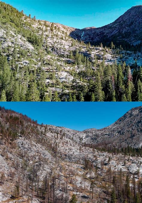 A Year After the Caldor Fire | Sierra Nevada Conservancy