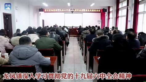 恩施市龙凤镇深入学习贯彻党的十九届六中全会精神 恩施市 龙凤镇 精神 新浪新闻