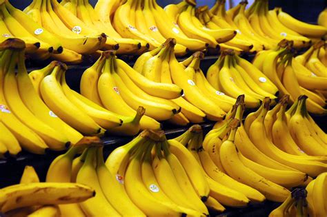 A New Kind of Global Die-Off: Bananas Hit by Rapidly Spreading Diseases