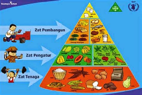 Fungsi Dan Contoh Sumber Zat Makanan Karbohidrat Protein Vitamin