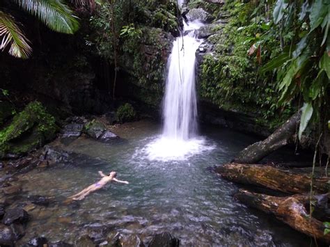 El Yunque Rainforest Puerto Rico El Yunque Rainforest Puerto Rico