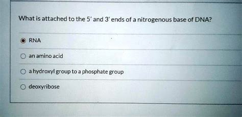 SOLVED: What isattached to the 5' and 3' ends of a nitrogenous base of ...