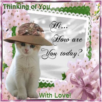 Hi, How Are You Today? cat gif hi good morning thinking of you good ...