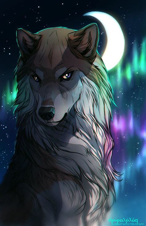 Tazihound User Profile Deviantart Canine Art Anime Wolf Drawing