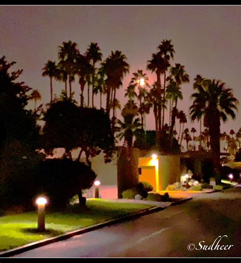 Midnight At The Oasis – Michael Sudheer