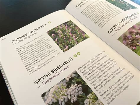 Wild bunt Naturnahe Gärten mit heimischen Pflanzen gestalten