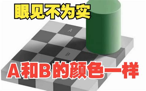 棋盘阴影错觉，你的大脑又骗你了 李论科学 李论科学 哔哩哔哩视频