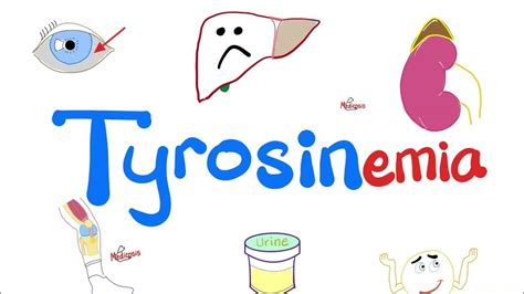 Tyrosinemia 3 Types Youtube