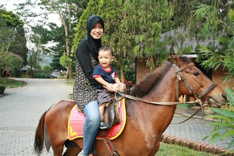 izan   blog naik kuda