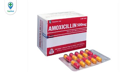 T M Hi U Amoxicillin Mg L Thu C G C Ng D Ng Li U D Ng V T C D Ng Ph