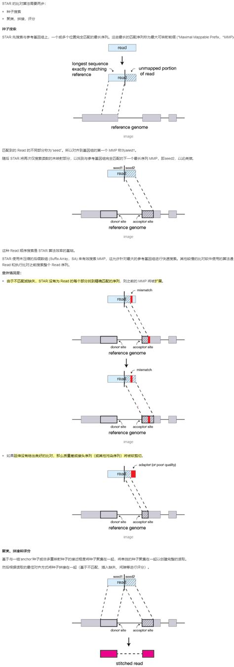 癌症样本全转录组数据的融合基因鉴定 腾讯云开发者社区 腾讯云