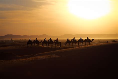 Camel Trekking Desert Morocco Moroccocameltours