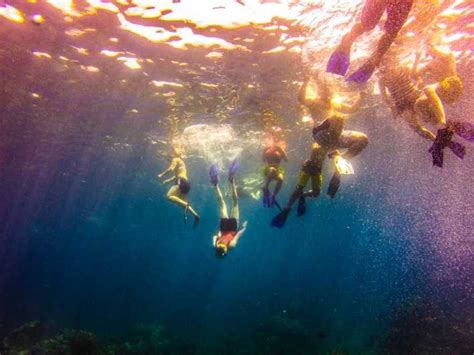 Punta Cana Full Day Snorkeling Tour To Catalina Island Getyourguide