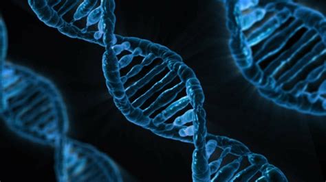 DNA Replication: Steps, Process, Diagram And Simple Explanation