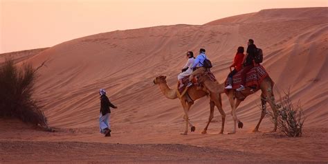 Dubai Camel Riding in Desert Safari – Magical Dubai