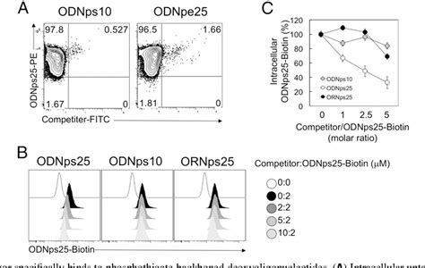 Figure 1 From This Information Is Current As Regulatory Cells