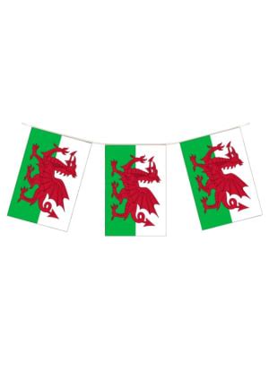 Welsh Flag Bunting 10m (20 Flags) - Nightclub Party