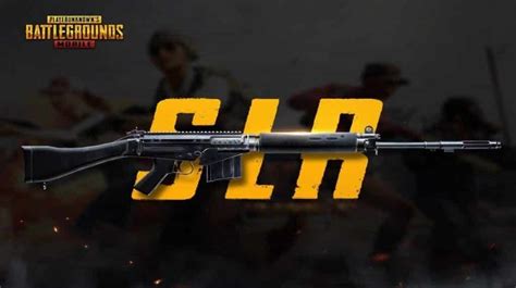 Slr Vs Mini 14 Pubg Which Marksman Rifle Is Better