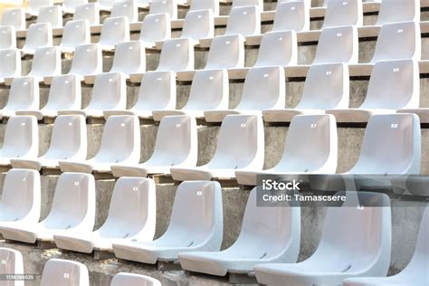 Empty White Stadium Stand Rows With Sunlight Stock Photo Download