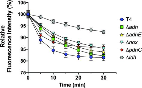 Efflux Capability Of Spn Tigr And Mutants Efflux Pump Capability Of