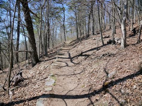 American Travel Journal: Browns Gap to Doyles River Cabin Trailhead - Appalachian Trail ...