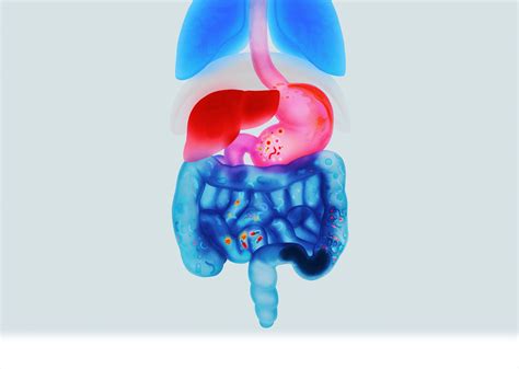 gut  healthy  microbiome questions answered