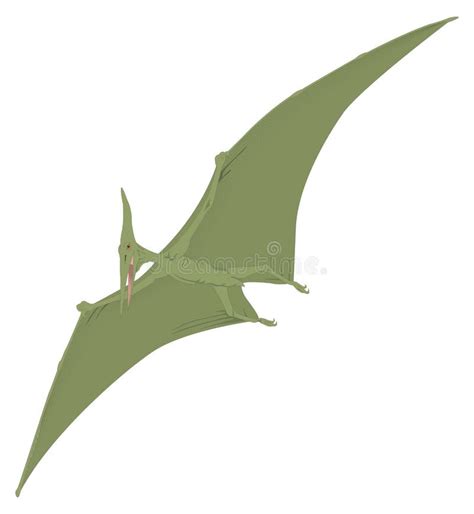 Pteranodon Dinosaurio Antiguo Ilustraci N Vectorial Fondo Transparente