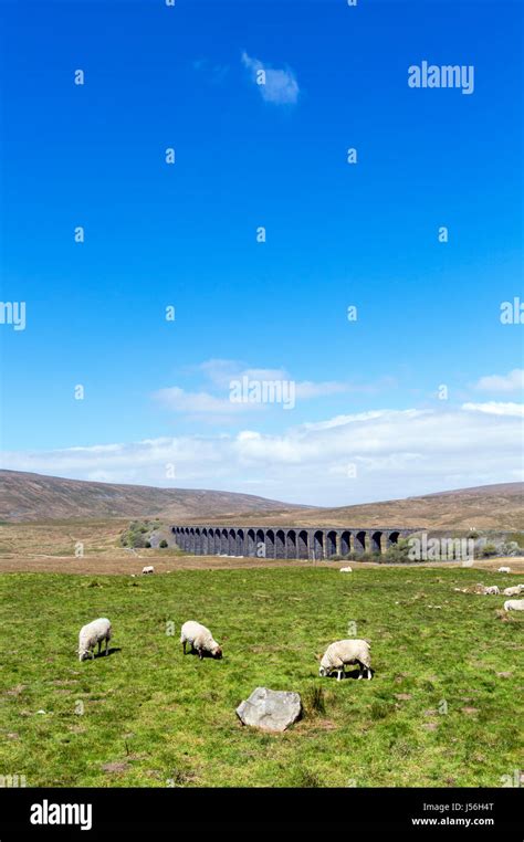 Ribblehead Viaduct Yorkshire Dales National Park North Yorkshire