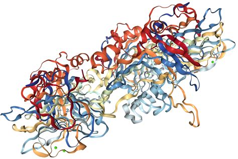 C Reactive Protein Protein Overview Sino Biological