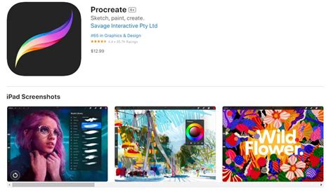 Procreate Vs Illustrator What Is The Best App To Use