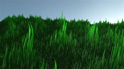 Animated Background Grass Stock Video Footage for Free Download