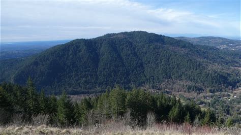 Hike At Squak Mountain State Park Washington May Valley Loop W