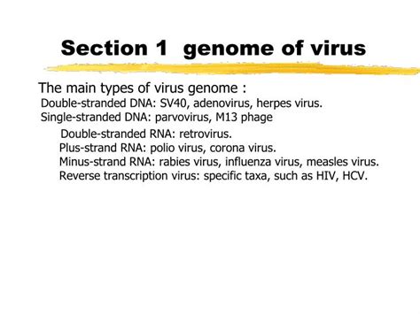 Ppt Structure And Function Of Genome Powerpoint Presentation Id6454661