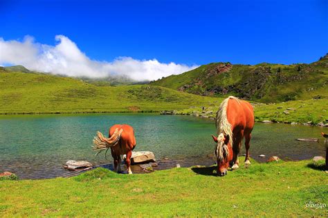 Lac D Ourrec Hautes Pyrenees Oliv340 Flickr