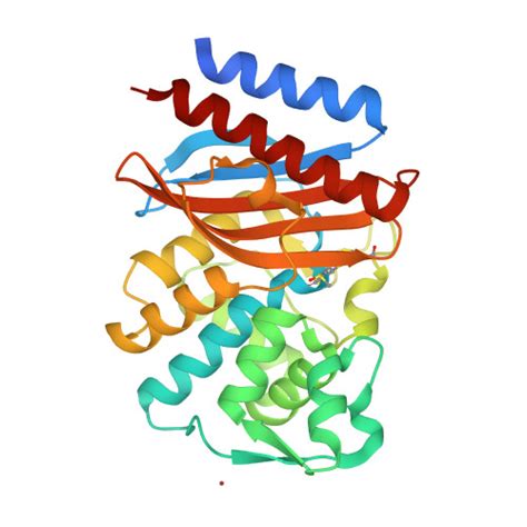 Rcsb Pdb 6ts9 Crystal Structure Of Ges 5 Carbapenemase