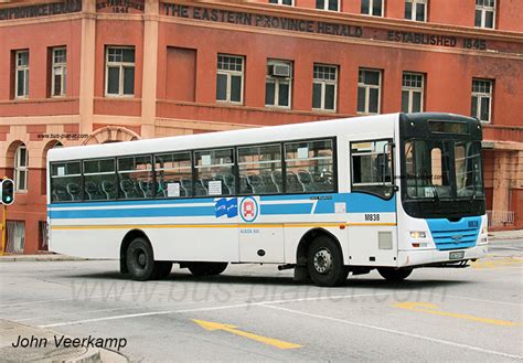 Buses In South Africa Algoa Bus