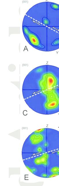 Quartz C Axis Fabric Diagrams Lower Hemisphere Equal Area Of