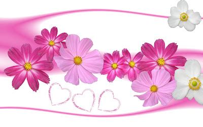 Pink Flowers Wallpapers:wallpapers screensavers