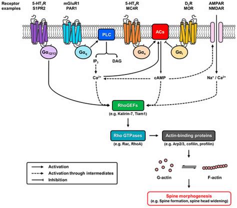 Molecules | Special Issue : G-protein Coupled Receptor Structure and ...