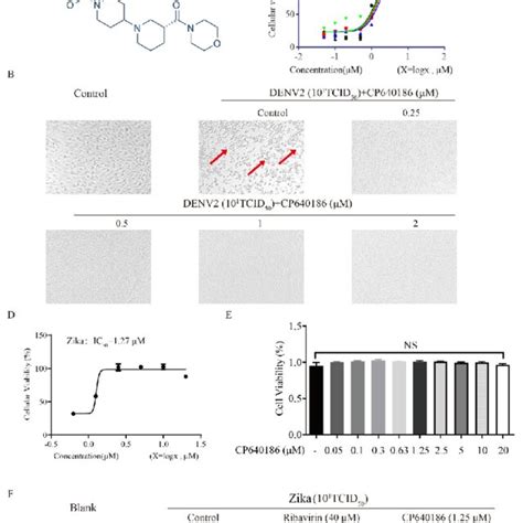 The Antiviral Ability Of Cp640186 Against Denv2 And Zika A The Download Scientific Diagram