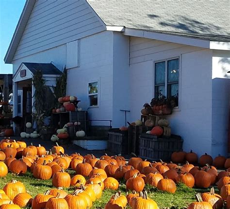 20 Pick Your Own Apple Orchards Near Cleveland To Check Out This Fall