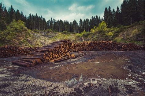 Exploatarea Resurselor Naturale I Impactul Asupra Mediului