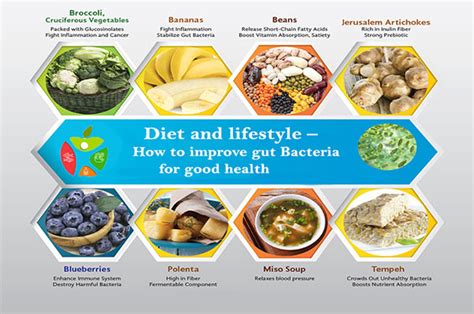 Diet and lifestyle – How to improve gut Bacteria for good health - Best ...