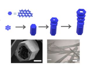 Hydrogen Bonded Organic Framework Comp Photo Chem