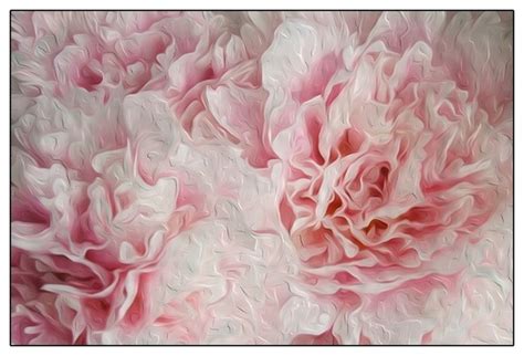 Pink Peonies Wallpaper - WallpaperSafari