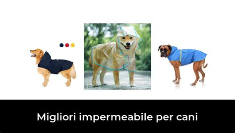 Migliori Impermeabile Per Cani Nel Recensioni Opinioni Prezzi