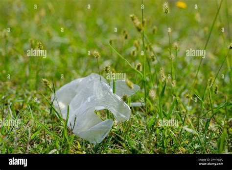 La Pollution Plastique Atteint Des Niveaux Intolérables Trop De